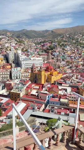 Mis dos amores. Mexico y Micheladas 🇲🇽 La Terraza Encantada GTO, MX📍#guanajuato #gtomexico♡🇲🇽 #guanajuatomexico #guanajuatocapital #mexicocheck #michelada #micheladas #mexicotiktok #laterrazaencantada #parati #paratii #guanajuatocheck🇲🇽🍻 #miche #elhijomayor #elhijomayorjunior 