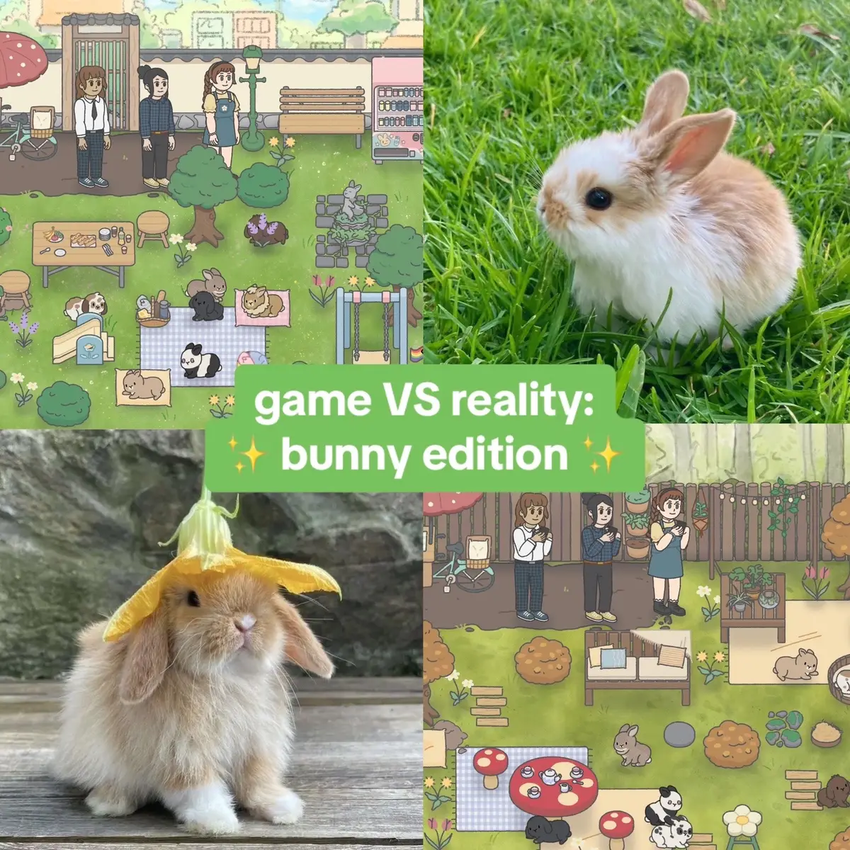 Which is your favourite? 🐰 #bunnyhavengame #gamevsreality #bunnies #bunnytok #cozygames #wholesomegames 