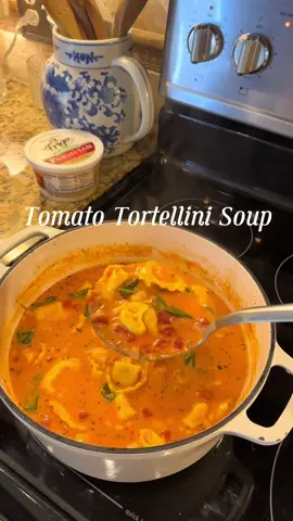 This slightly defrosted my frost bite from the snow storm we got here. 😋❄️ #tortellinisoup #tomatosoup #souprecipes #dinner 