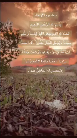 #دعاء_يوم_الاربعاء🕊️💕 #اللهم_صل_على_محمد_وآل_محمد #اباذر_الحلواجي 