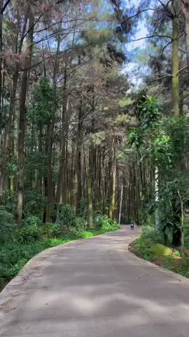 Pernah kena pungli ga disini? #gunungpancar #wisatabogor #rusdianaacep 