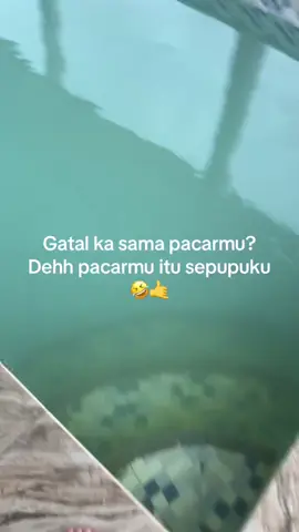 #fyp #fypdongggggggggg #bugissulawesi #likeyou #sulselkerassappo #marostiktok #virall #katakatabugis #storytime 