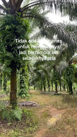 🙏🏻😇 #sawitontiktok #petanisawit #kalimantan #fyp #trukkalimantan #lewatberanda 