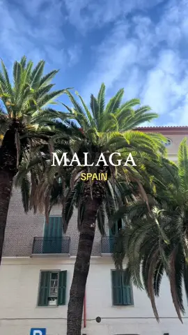 Malaga 🌴🌊 what a vibe #Malaga #Spain #LizinSpain #Traveling #latinatraveling #malagaspain #views #traveltiktok