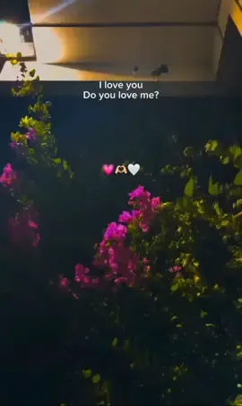 I Love you Do you love me...?💗🫶🤍 #Riayz__0official_10  #fyyyyyyyyyyyyyyyy #capcut #foryou #fypシ゚viral🖤tiktok #trending #sad #fy #cute #tiktokuni #cat #tu #c #t #1 #v #bangladesh🇧🇩#1millionaudition#100k #fpppppppppppppppppppppp #foryou #fyfyfyfyfyfyfyfyfyfyfyfyfyfyfyfyfyf #f @🦋–গন্তব্য ☞হীন–🌸❤️‍🩹 