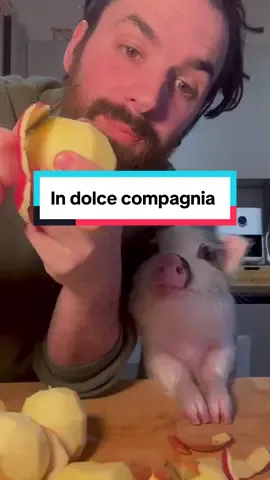 Preparando le mele cotte in dolce compagnia 🐷🍎❤️ #charleyeanna #maky #maialino #mele #pig #Love 