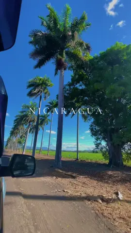 17/01/2024 🇳🇮 #Nicaragua #chichigalpa #fypシ #parati #for #contenido 