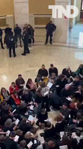 U.S. Capitol Police take action, making arrests as tensions rise during pro-Palestinian protests. #capitol #washingtondc #dc #propalestine #protests #israel #hamas