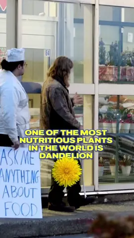 This Dandelion fact might SHOCK you! #askmeanything #chefsoftiktok #happynewsnetwork #hnn : @Ovens Rocky Mountain Bushcraft 