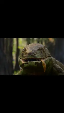 Life on our planet - Chapter 3 - pt.21 #fy #fyp #fypage #nature #survival #earth #lifeonourplanet #lifeonourplanetedit #plants #oxygen #tree #trees #exoskeleton #armor #air #lung #lungs #vertebrae #lobefinnedfish #amphibia #amphibian #anthracosaurus 