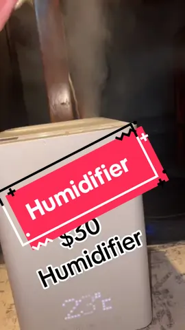 Got a new humidifier #humidifier #coldweather #breathingproblems #fyp 