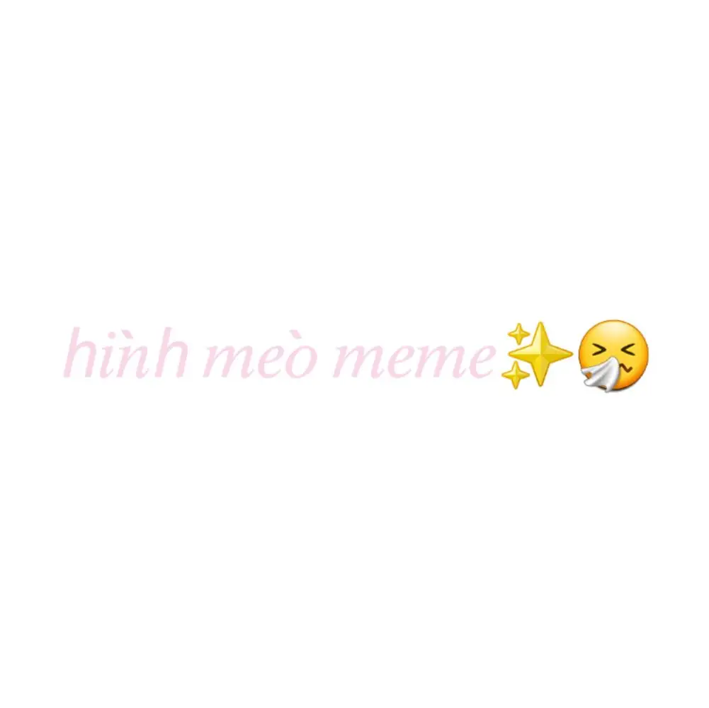 mèo meme✨🤧