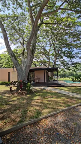 Casa industrializada de 1 nivel #viral #tendencias #shorts #casa #colombia #arquitectura #prefabricación