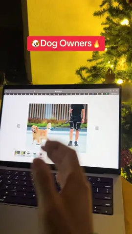i am so excited for this to come in, and i know my dog is too!#doglovers #dogsoftiktok #tiktokshop #tiktokmademebuyit 