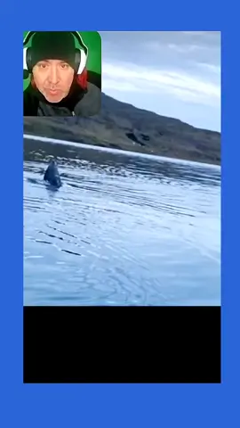 Reacting to  Massive Shark following small boat! 😬