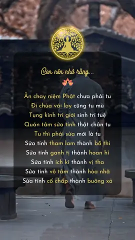 con hãy nhớ rằng ....#ThanhThoiLuotTet #anlactutam #anlactrongtamthuc #2024 #hellovietnam 