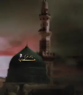 محمد حبيبي اللهم صل على سيدنا محمد