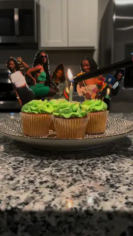 happy 23rd birthday to me 🥰💚🧁🥂 #bday #23 #snowedin #capricorn #j18 #birthday #cucpake 