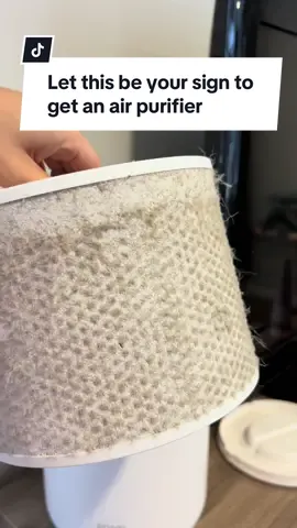 I feel like I need an air purifier in LITERALLY every corner of my house because OMG this is TERRIBLE!!!!  @Levoit_official  #homecleaninghacks #cleanhometips #airpurifier #homemusthaves 