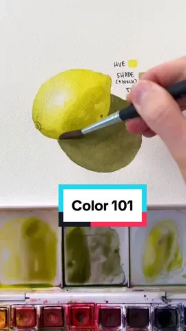 Color Theory 101 #watercolorbeginner #watercolor #colortheory #arttok 