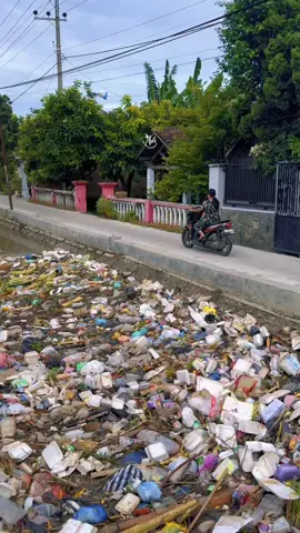 Lagi dan Lagi 😭😭  Tumpukan sampah di sungai Desa Gembongan, Kecamatan Gedeg, Kabupaten Mojokerto lagi lagi dikeluhkan warga setempat. Sungai selebar 4 meter yang melintas di depan pemukiman warga ini, membawa beragam sampah. “Kondisi sampah di sungai ini sudah berlangsung selama satu tahun. Sampah ini tidak saja mengakibatkan banjir juga memicu penyakit saat musim hujan ini,” ujar Rina, warga setempat saat ditemui, Jumat (19/01/2024). Ria mengungkapkan ketika hujan datang, sungai yang mengalir selalu membawa sampah dan mengotori lingkungan mereka. Bahkan, sampah yang belum diketahui asalnya ini selalu menyangkut di bawah jembatan depan rumah warga. Di antaranya pampers, foam tempat makanan, sampah plastik, ranting pohon, sampah rumah tangga, bahkan bangkai ayam. Untuk menghindari hal-hal tidak diinginkan, hampir setiap hari warga berinisiatif membersihkan secara mandiri dengan menceburkan diri ke sungai untuk sekadar mengurai sekaligus membersihkan sampah yang menyangkut. Tumpukan sampah yang menyangkut di bawah jembatan sebagai akses keluar masuk warga, jumlahnya tidak sedikit. Setidaknya, dalam sehari, sampah itu mengular hingga 50-an meter lebih. Atas kondisi itu, warga setempat mengaku sangat terganggu. #mojokerto #aslimojokerto #kabarmojokerto #ceritamojokerto #longervideos 