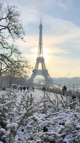 Il a neigé hier matin à Paris It snowed yesterday morning in Paris Crédit Photo: @loic.lagarde Follow us on IG: @champselysees_paris www.champselysees-paris.com © Paris, Always an Amazing idea! #paris #igersparis #snow #neige #toureiffel #eiffeltower #winter #hiver 