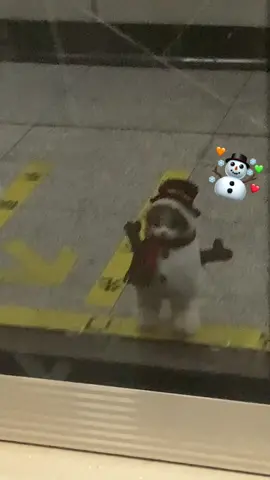 Encountered a snow kitty on the subway⛄️#cutecat #cat #kittycat #playtime #costume #catlovers #funnycat #cute #snowman 