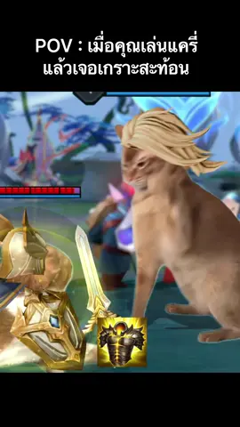 POV เมื่อเล่นแครี่ แต่เจอเกราะสะท้อน #rovเป็นเกมตลก #meme #catsvideo