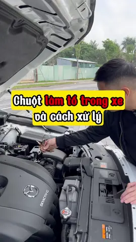 Làm sao để chống chuột làm tổ trên xe, anh em lưu ngay video này lại để thử ngay trên xe của mình nhé #ThanhThoiLuotTet #vuaphukienoto3s #hoangx3 #meolaixe #meolaixe #car 