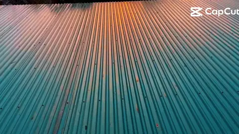Ông ấy nói