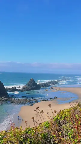 Seal Rock on the Oregon Coast #oregon #natureloves #pacificnorthwest #naturelove #relaxing #scenic #pnwlife #exploring #fyp #pnwadventures #pnwwonderland #pnw #pacificocean #rockyshore #sunnyday #sandybeach #waves #pacificnorthwestroadtrips 