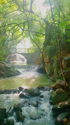 Suối mát Tại Thiền Tôn Phật Quang #nammobonsuthichcamauniphat🙏 #phatthanhdao2024 #nuidinh #bariavungtau #tttsthichchanquang #thientonphatquang 