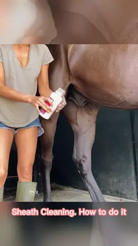 Sheath Cleaning. How to do it #animals#fun#asrm#satisfying#restoration#relaxing#horses#hoof#hoofcleaning#hoofcare#cleanhorse#horsesoftiktok#hooves#cleaningtiktok#cleaning#viral#horsetok#farrier#farriersoftiktok