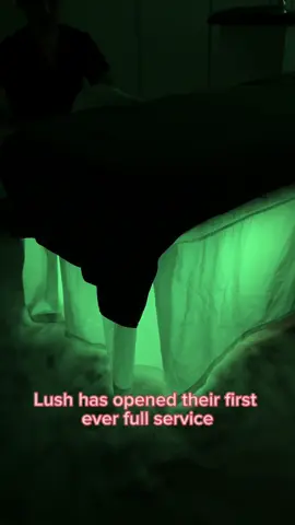The new Lush Spa in downtown Vancouver left me floating on a cloud ☁️ The attention to detail, ambience, and of course incredible products make this the most unique, custom treatment I have ever had. With 11 different treatments to choose from, there is something for everyone!  #vancouver #vancouversnewsreporter #lush #lushspa #massage #fyp 