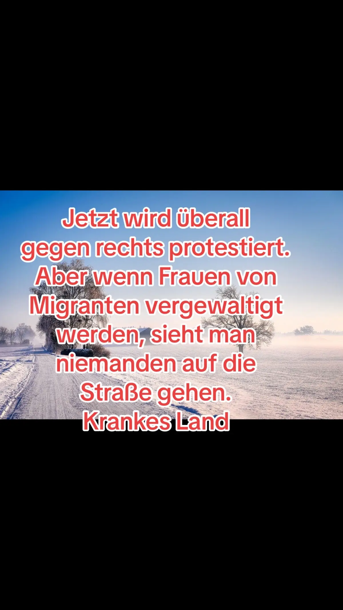 #politik #regierung #berlin #migranten #ampelregierung #gewalt #deutschland #protest #demo #alleswirdschlimmer 