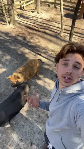 Not bitter about Jason’s last video at all… #fyp #viral #animalsanctuary #dayinmylife 