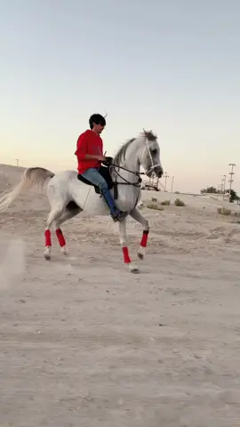 وهببب ❤️❤️.  