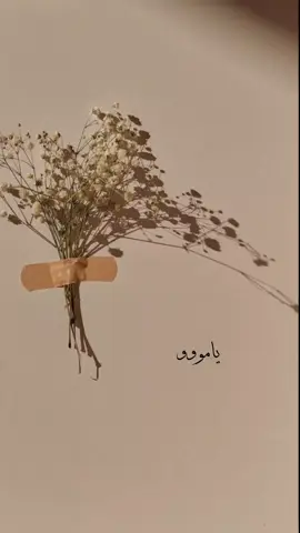#يامو #إشتقتلك 