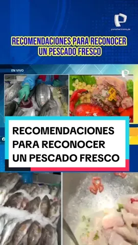 Desde el Callao, miembros de Sanipes compartieron tips para saber reconocer este producto fresco y así preparar los diversos platos gastronómicos.   #panamericanatv #recomendaciones #pescado #fresco #salud #mariscos #Callao #Minka #Sanipes 