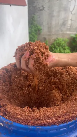 #cocopeat #cocopeatindonesia 