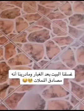 #اكسبلور #سناب #اغاني #ضحك #بنات #البولفارد  #فولو #لايك #انا #me #تيك #الويكند  #الرياض #تعبوني #تيك_توك #تحدي #رقص #ترند #مشاهير #بث #الهلال  #طاش_ما_طاش #طاش #مطر #الاتحاد #النصر  #كورة #الكاس #كرستيانو_رونالدو #كرستيانو #explor #الشتاء #الاحد #الويكند #الخميس #الجمعه #نيمار #الاربعاء #دوام #السعوديه #السعودية #الاهلي #الثلاثاء #صباح_الخير #عروض 