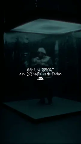 NO DIGAS QUE NO TE GUSTÓ 🙄 #ignorantes #badbunny #sech #letricajsd #fyp #fouryou #Viral #parati #musica #fypviral #fypシ゚viral 