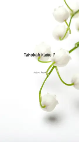 nasehati saja semampu dan semampu kita saja..😇 #selfreminder #freepalestine🇵🇸🇵🇸 #quotesoftheday🦋 #katabijakislami #fyp 