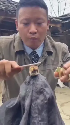 I’ll stop eating chicken & they’ll get a haircut😂 . . . #kreikhassan☝️#colorwithlove #barber #kidskreik #hairdresser #haircut #reels #fyp #👌 #reel #men #menBarber #cut #Summer #handsome #hairstylesformens #kreikhairstyle #kreikyourhand #kreikbarber 