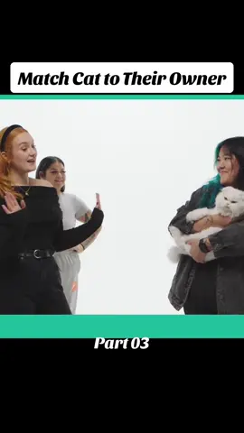 Match Cat to Their Owner. Part 03. #foryou #fyp #interview 