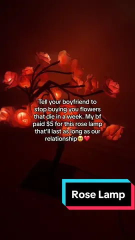 Use your TikTok Shop coupons!! #valentinesdaygiftideas #valentinesdaygiftsforher #valentinesday2024 #foreverflowers #foreverroses #giftideasforher 