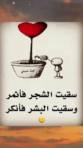 سقيت الشجر اثمر  أما البشر #اقتباسات #عبارات_وخواطر #ستوريات_حزينة #تيك_توك #اكسبلور 