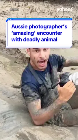 #Aussie #photographer’s ‘amazing’ encounter with #deadly animal 👀 #australia #seasnake #yahoonews #yahooaustralia 