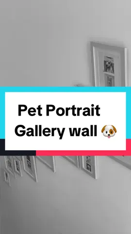 My 35 Dogs gallery wall 🐶 #homedecor #design #homesweethome #fyp #dog #dogsoftiktok #doglover 