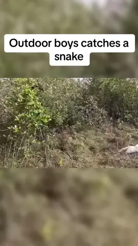 Outdoor boys catch a snake 🐍#Outdoors #outdoorboys #outdoorboyschannel #nature #fy 